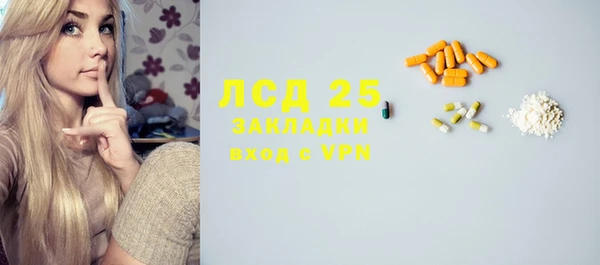 прущие грибы Краснослободск