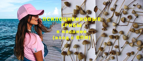 прущие грибы Краснослободск