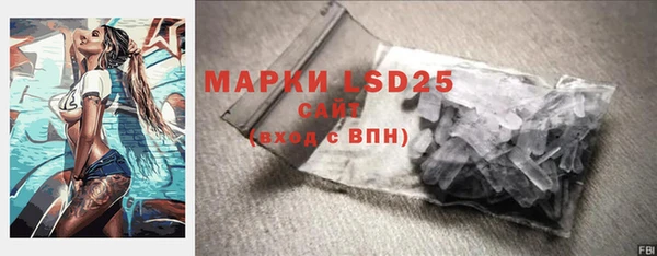 прущие грибы Краснослободск