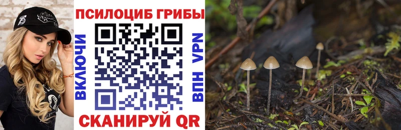 Галлюциногенные грибы MAGIC MUSHROOMS  Малмыж 